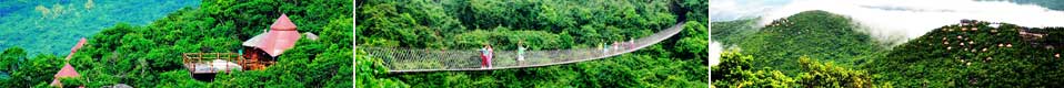 亚龙湾人间天堂鸟巢度（dù）假村